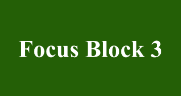 Focus Block 3